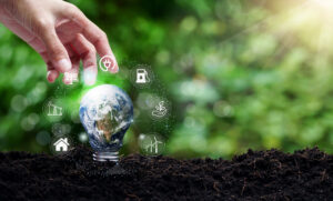 Consultoría en Economía Circular