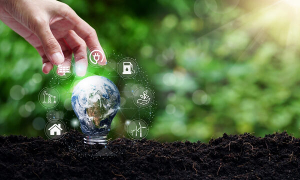 Consultoría en Economía Circular