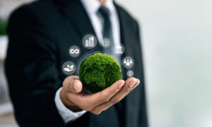 Desarrollo de Estrategia Empresarial Sostenible